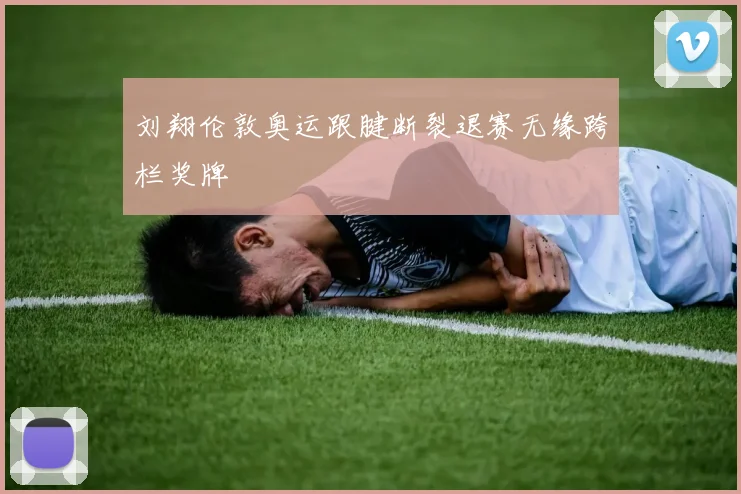 刘翔伦敦奥运跟腱断裂退赛无缘跨栏奖牌