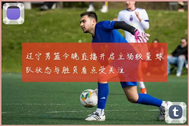 辽宁男篮今晚直播开启主场较量 球队状态与胜负看点受关注